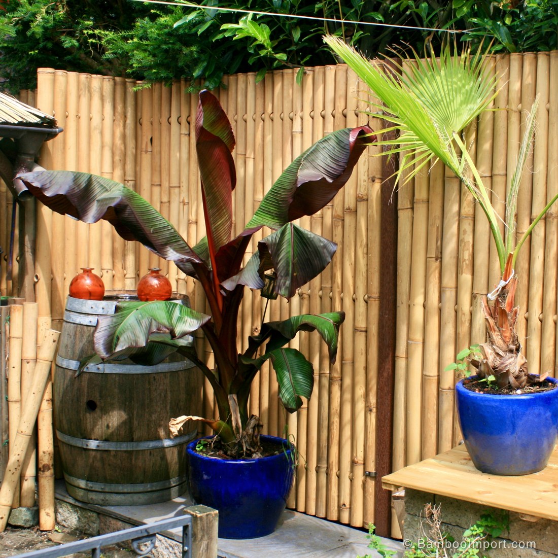 giant-bamboe-tuiunschermen-s001-1100x1100