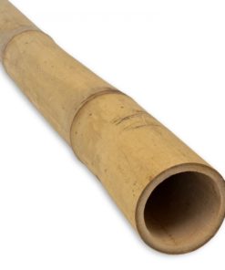 Guadua Bambusstang &Oslash; 5-7 x 300 cm