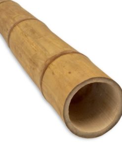 Guadua Stave