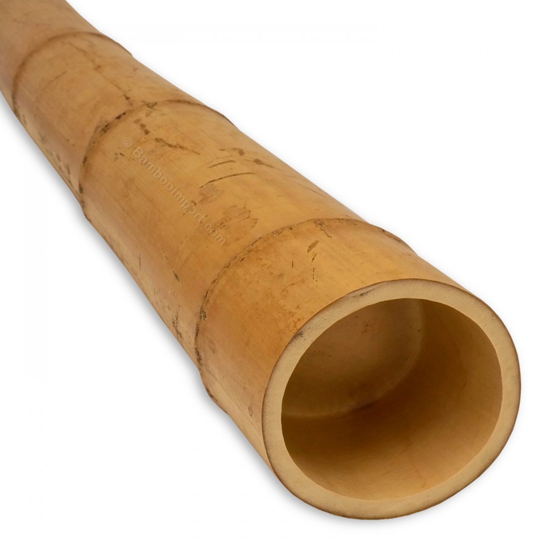 moso-bamboepaal-10-12-cm-1100x1100