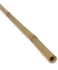 Tonkin Cane &Oslash; 20-22 mm x 366 cm