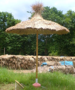 DEN PARAPLYEN