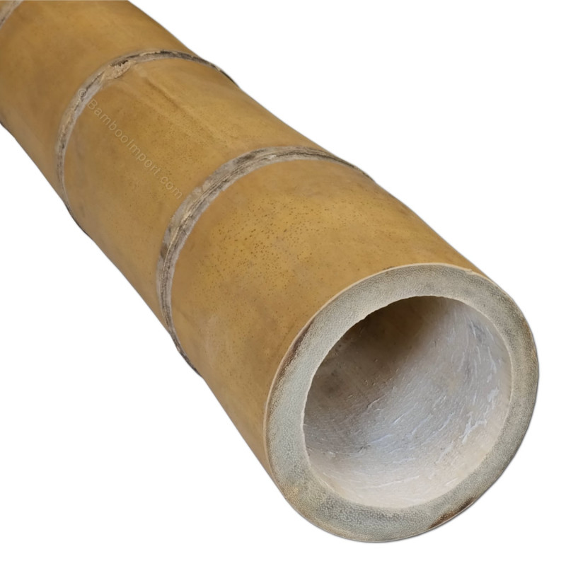 bamboepaal-guadua-11-13-cm-800x800