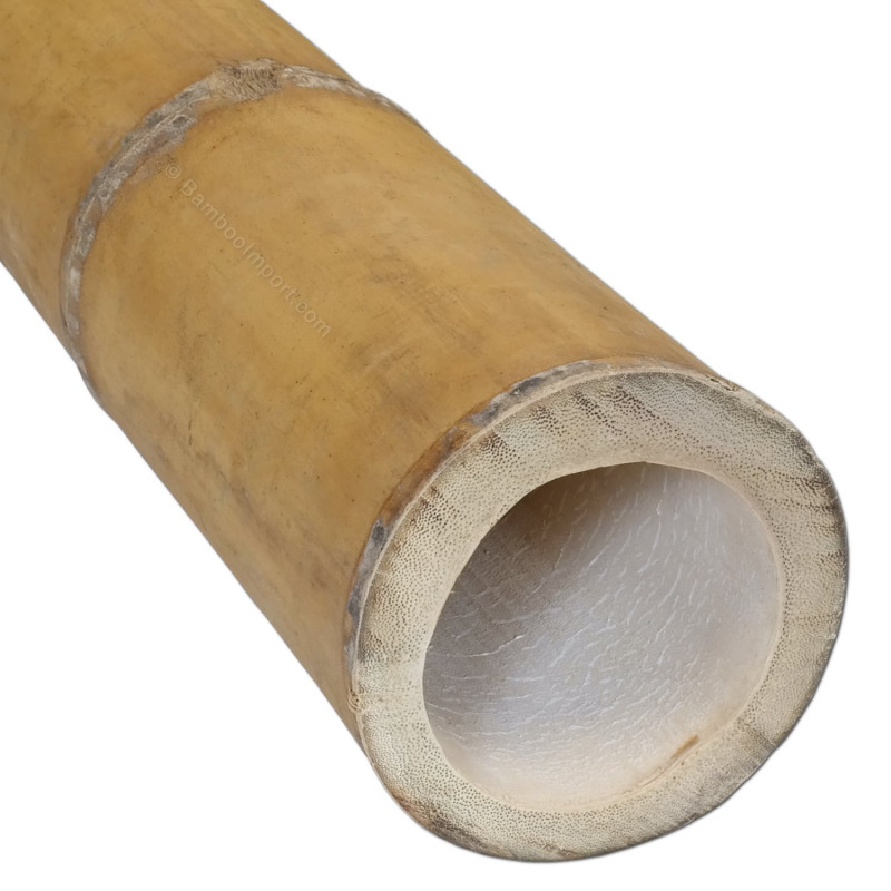 bamboepaal-guadua-13-15-cm-800x800 (1)