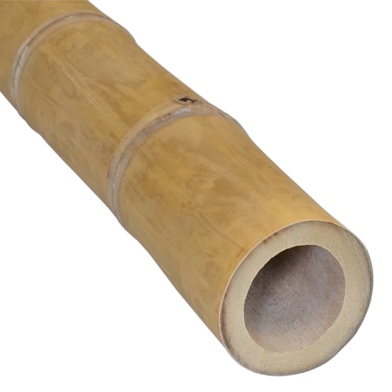 bamboepaal-guadua-7-9-cm-800x800 (3)