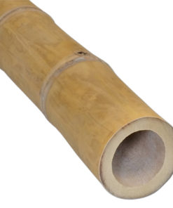 Bambusstang Guadua &Oslash; 7-9 x 600 cm