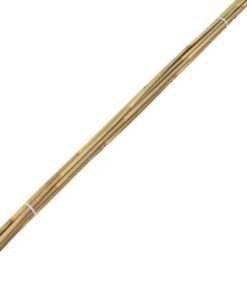 Bambusstenger/blomstepinner til hagen &Oslash; 0,5-1,0 cm x 170-175 cm